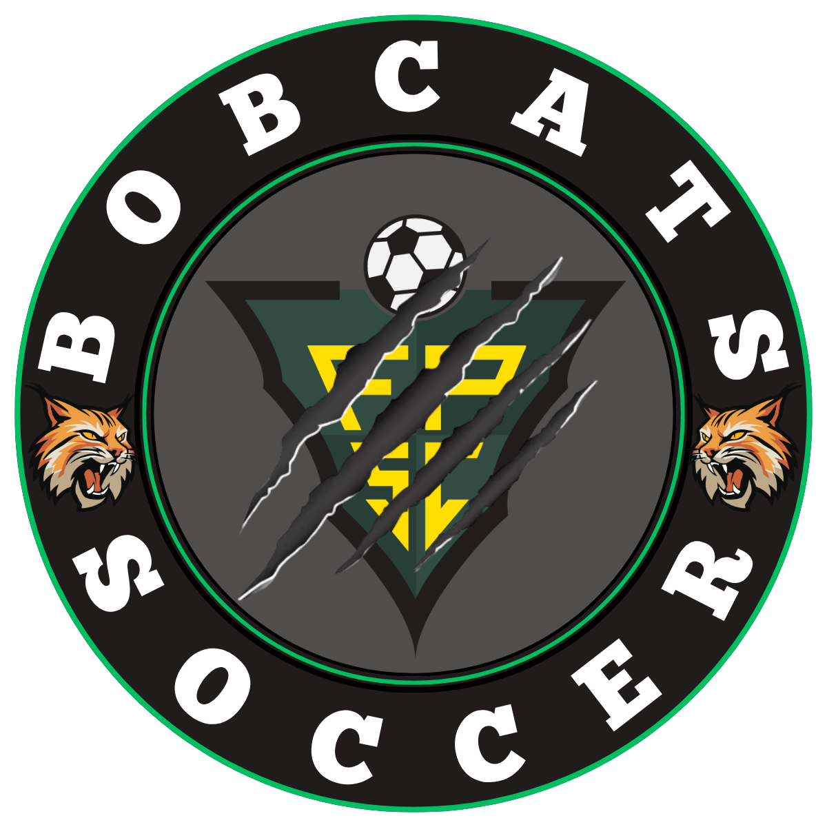 Bobcats Icon